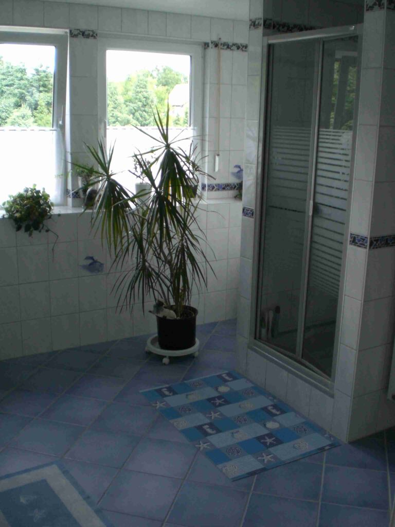 Modernes Duschbad in der Ferienwohnung in Scharnebeck.