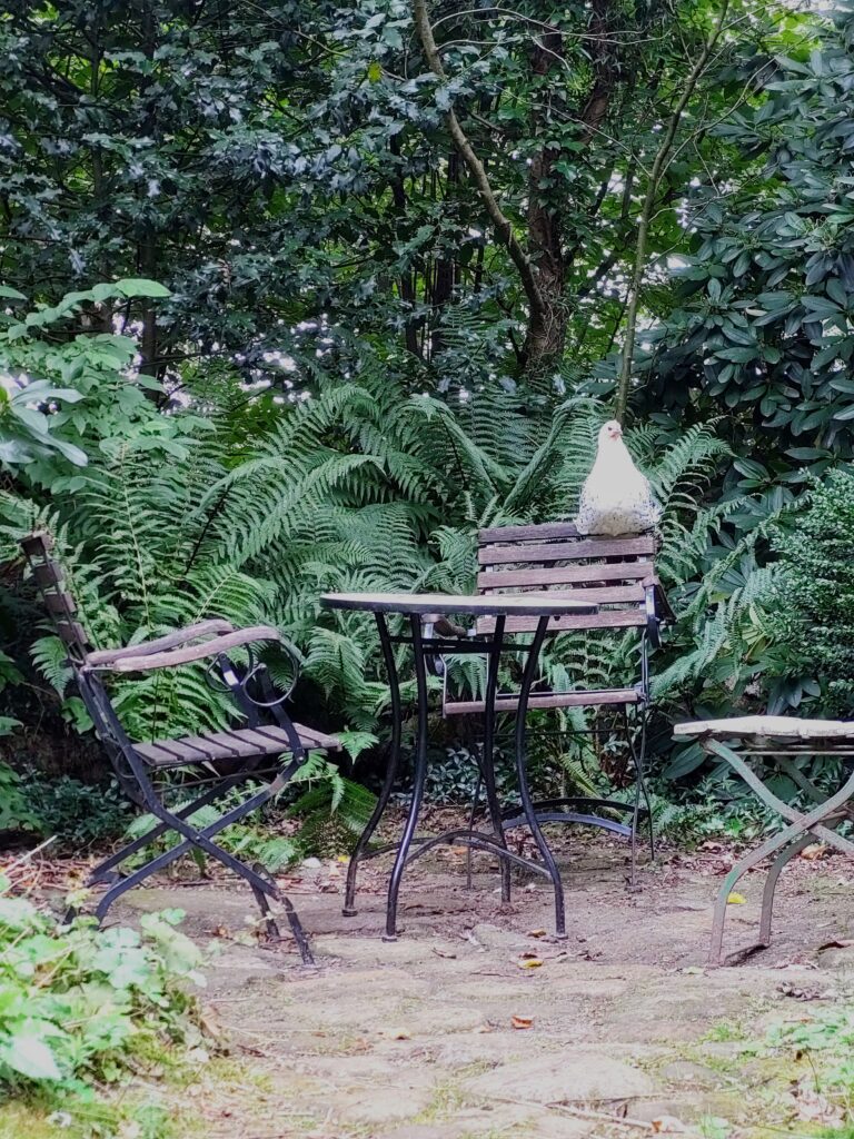 Mein Teegarten ist ein exotischer Ort in der Lüneburger 